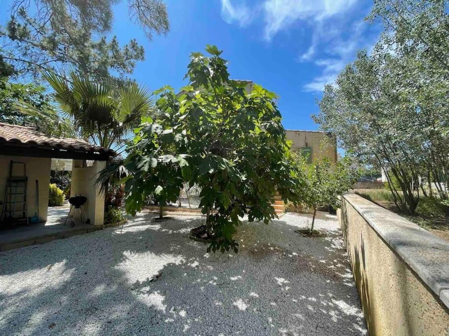 Marseillan Plage Studio Independant Exterior photo
